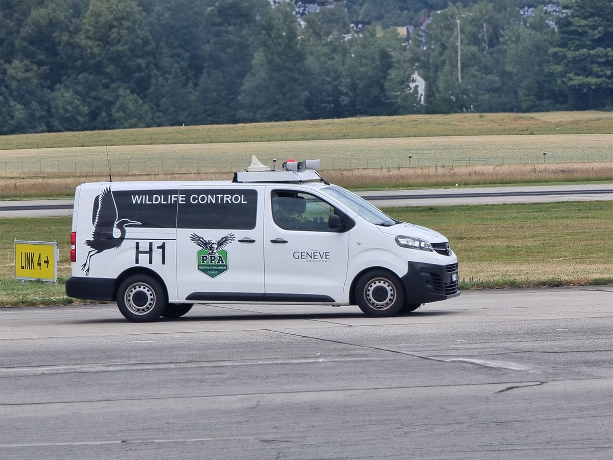 ppa (1)